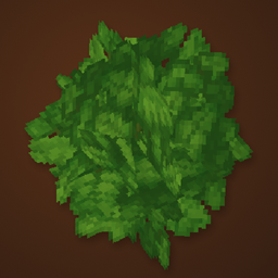 Ymmersive Foliage