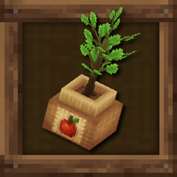 [NoCube’s] Orchard