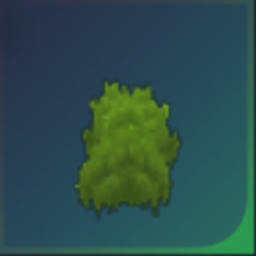 Moss Muncher – Eat Moss