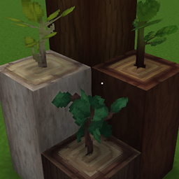 Reworked Saplings
