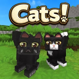 Alec’s Cats!