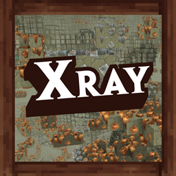 Miner’s Xray