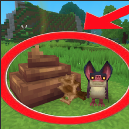 Bats Drop Poop and Light Leather