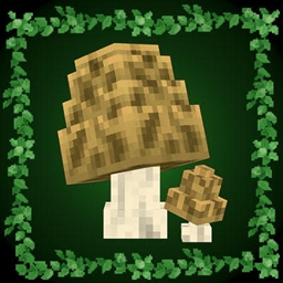 Womack’s Morel Mushrooms