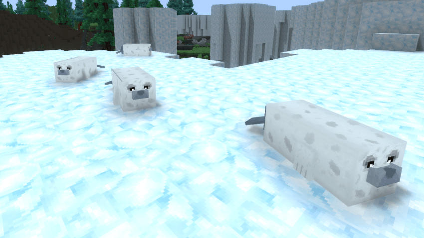 Leadwing’s Silly Seals